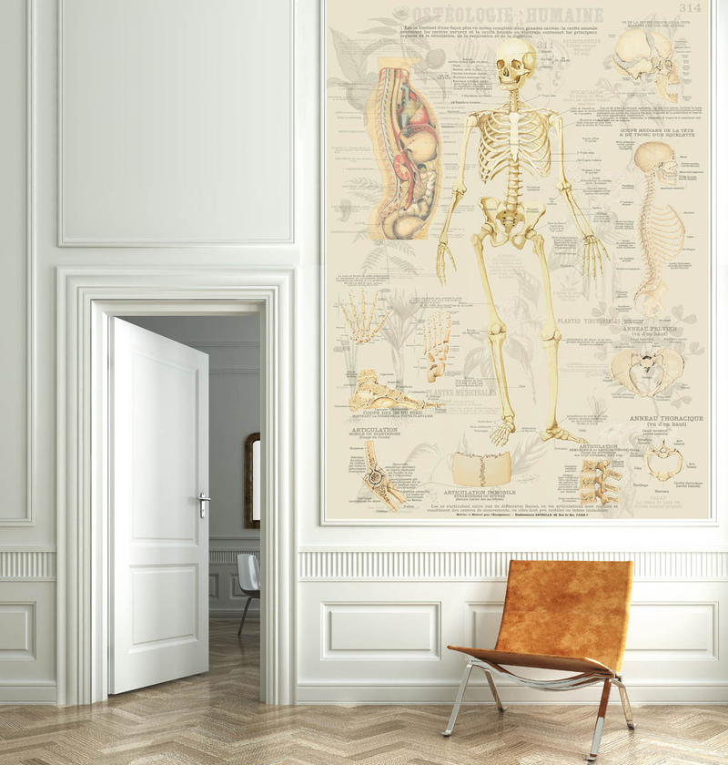 Illustration for article titled This Wild Wallpaper Turns Your Home Into a Natural History Museum